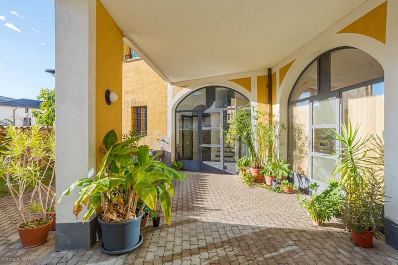 covered patio with various potted plants and an arched doorway with glass doors