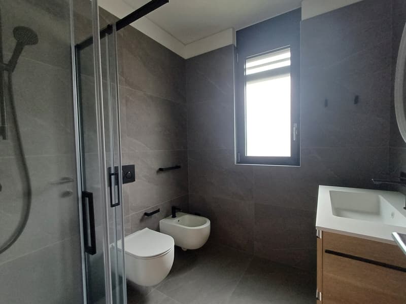 The image shows a modern bathroom with gray tile walls, a glass shower enclosure, a white toilet, a white sink vanity, and a window providing natural light.