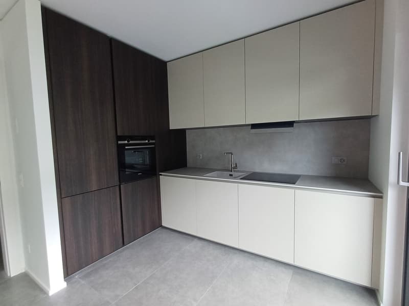 Modern kitchen with white cabinets, dark wood cabinets, built-in oven, and a dishwasher