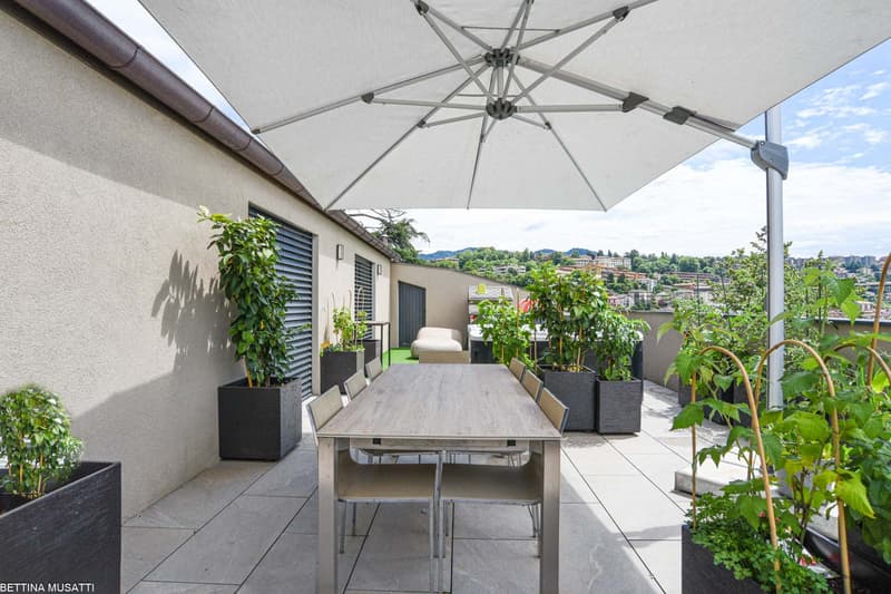 Terrace with wooden table and chairs, potted plants, parasol, and a view of the cityscape.