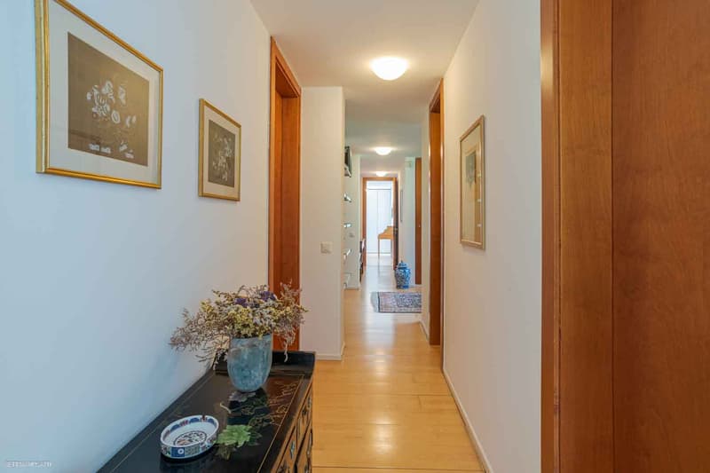 MENDRISIO-SALORINO – “VILLA DELLE QUATTRO STAGIONI” (8)