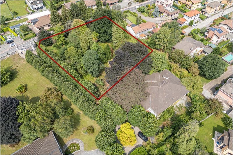 Aerial view of a plot of land surrounded by a lush green bush and trees with neighboring houses, with a red outline.
