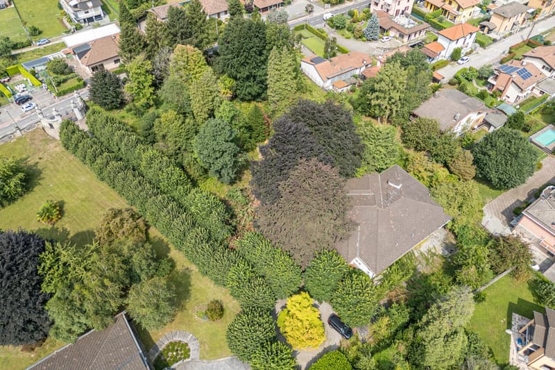 Houses with red roofs, surrounded by large trees, car parked in front, driveways, swimming pool in the back