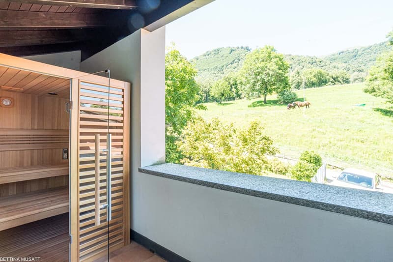 Balcony with sauna, view of a grassy field with horses