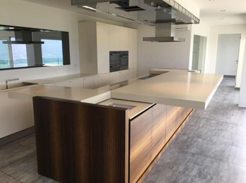 Kitchen: Central island with a large countertop, wooden base, integrated oven, hood, modern appliances, neutral colors, ample space, natural light