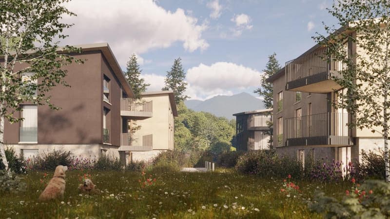 Brown buildings with balconies and windows, two dogs in the foreground, lush trees and plants, and mountains in the distance