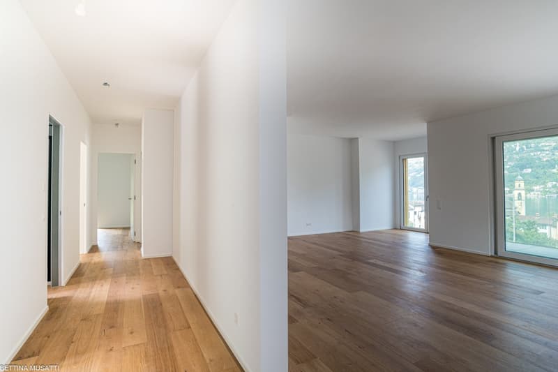 Spacious apartment with hardwood floors, large windows, and an open floor plan. The apartment features a hallway leading to various rooms and a main living area with a view of the surrounding landscape.