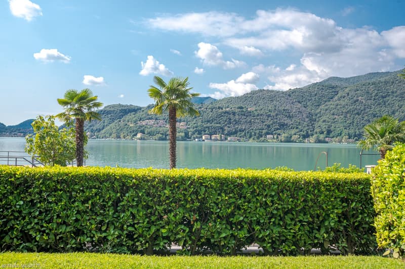The image shows a scenic view of a lake surrounded by lush green mountains. In the foreground, there are palm trees and a well-manicured hedge. The lake appears calm and reflects the surrounding landscape. The sky is partly cloudy, creating a picturesque