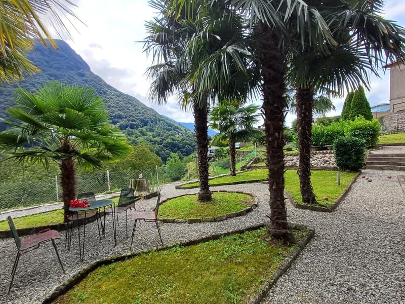 Garden area with gravel path, several palm trees, and outdoor seating area with a table and chairs, flowers on the table, mountain in the background.