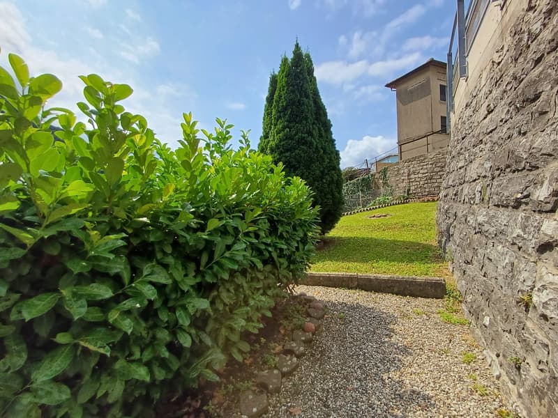 Stone paved pathway, trimmed bushes, small lawn area, evergreen tree, distant house with stone wall.