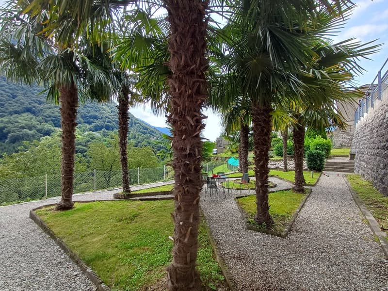 Stone walkway, row of palm trees, garden area, distant mountains, outdoor seating with chairs and tables