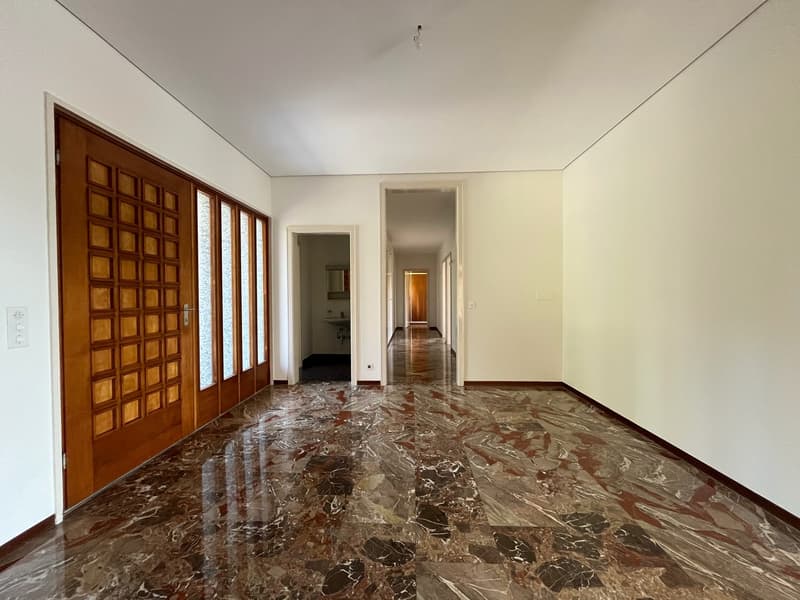STABIO – UMGEBEN VON WEINBERGEN, EIN BAUHAUS-INSPIRIERTES DOMIZIL (3)
