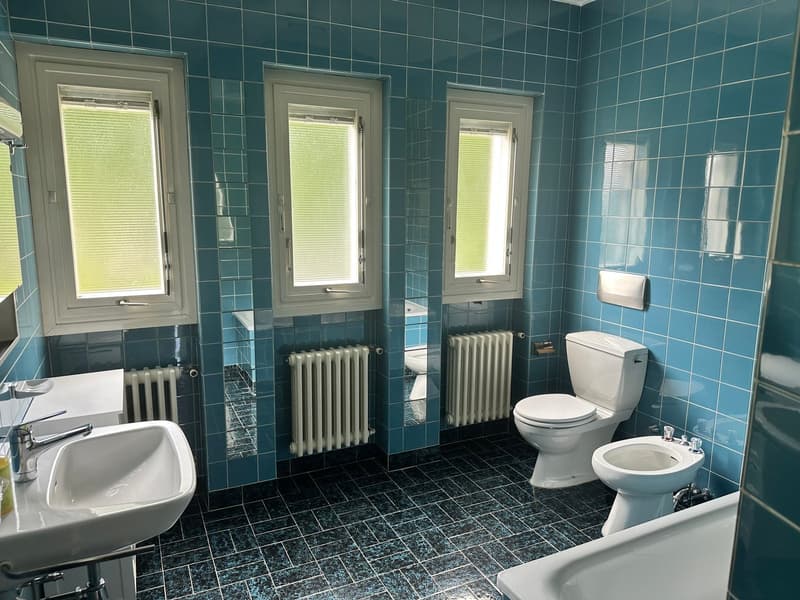 Bathroom with blue tiles, toilet, bidet, bathtub, sink, mirrors, radiators, and windows