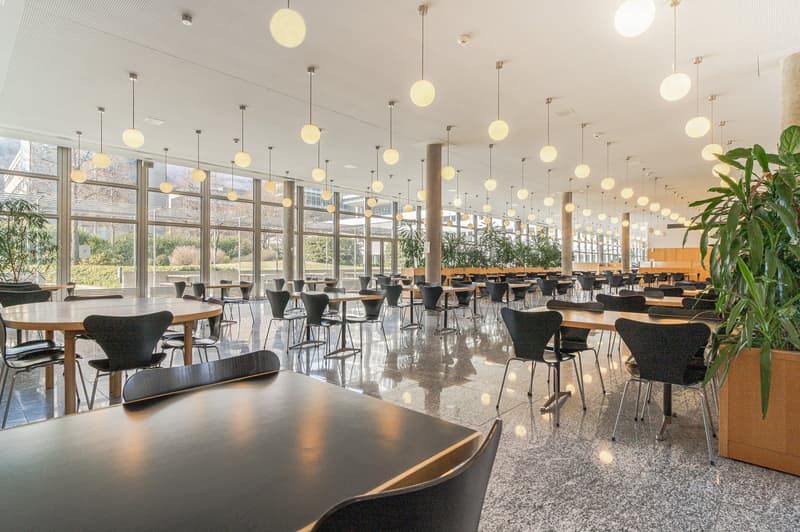 Spacious dining hall with tables, chairs, round wooden tables, hanging lamps, large windows, potted plants.