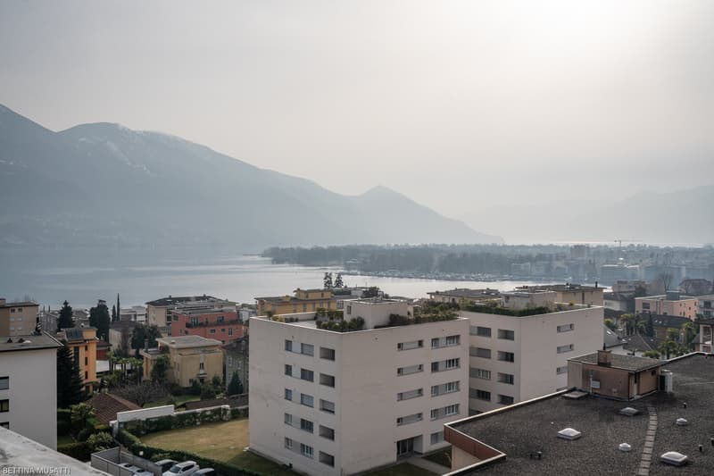 high-rise apartment building, modern architecture, surrounded by other buildings and greenery, waterfront location, mountains in the distance