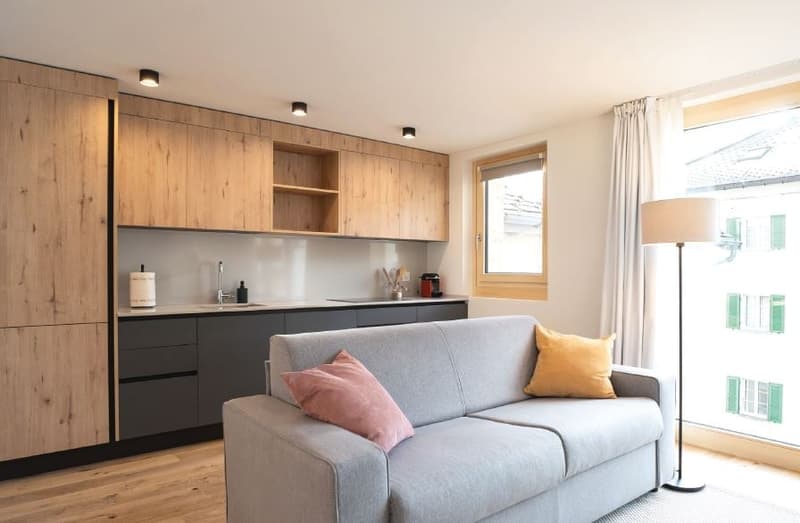 Open plan living area with a kitchen. A grey sofa, and a couch are in the living area with large windows.