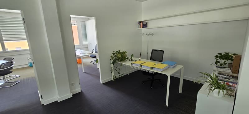 clean, empty office with office desk, office chairs, plants, window blinds
