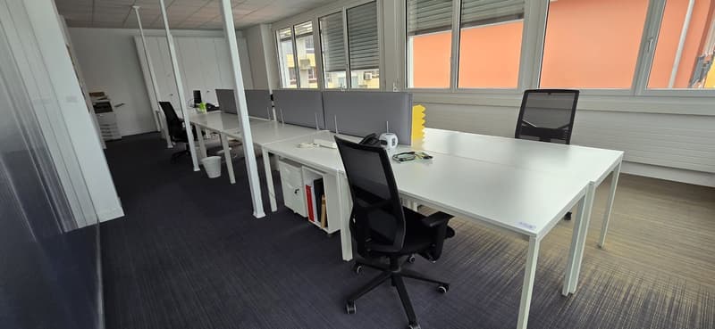 Open space office, with desks, chairs, cabinets, printers, windows, and large office room.