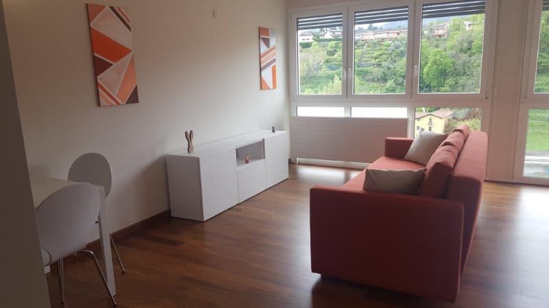 Appartamento 2.5 locali ristrutturato a Lugano-Pazzallo (2)