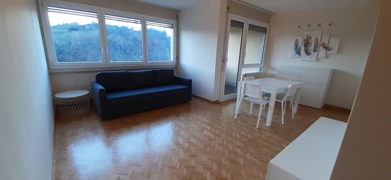 Appartamento 1.5 locali ristrutturato a Lugano - Pazzallo (1)