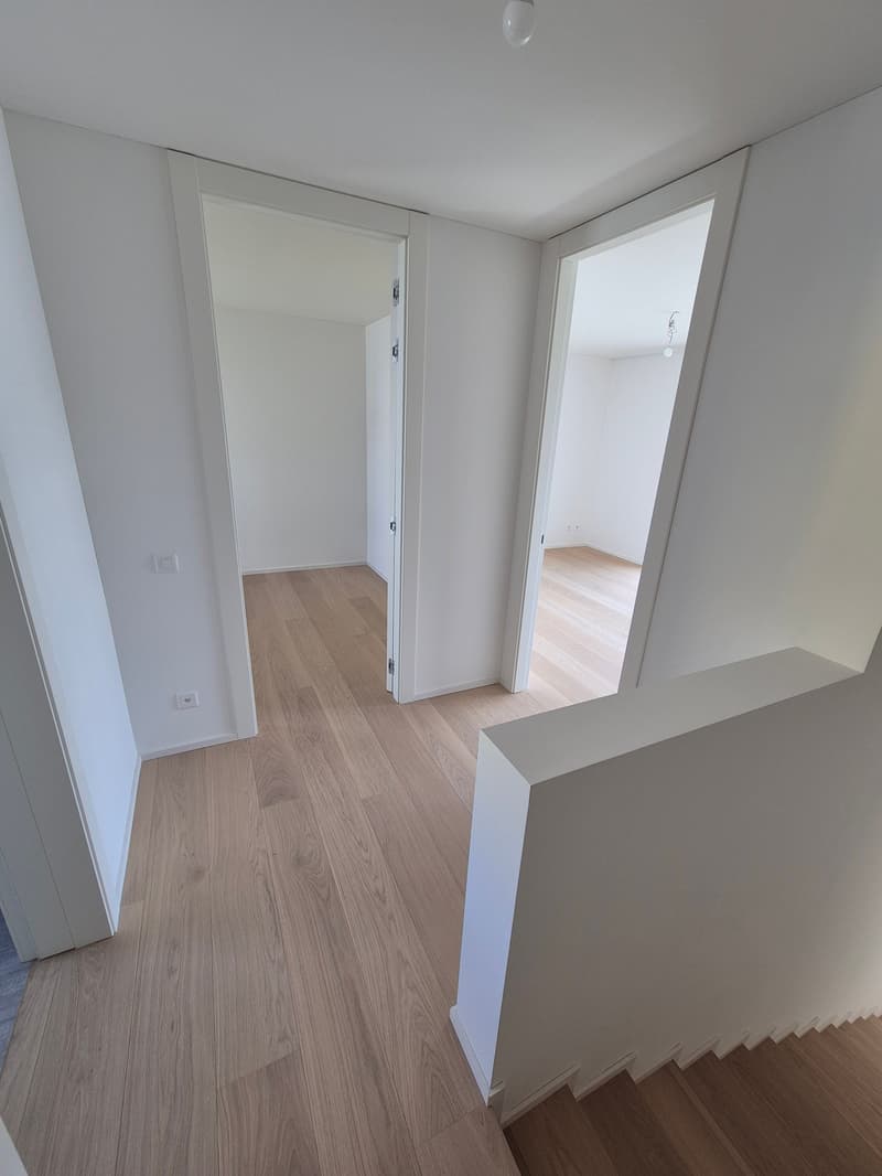 Maison moderne avec piscine à Caslano - disponible immédiatement (11)
