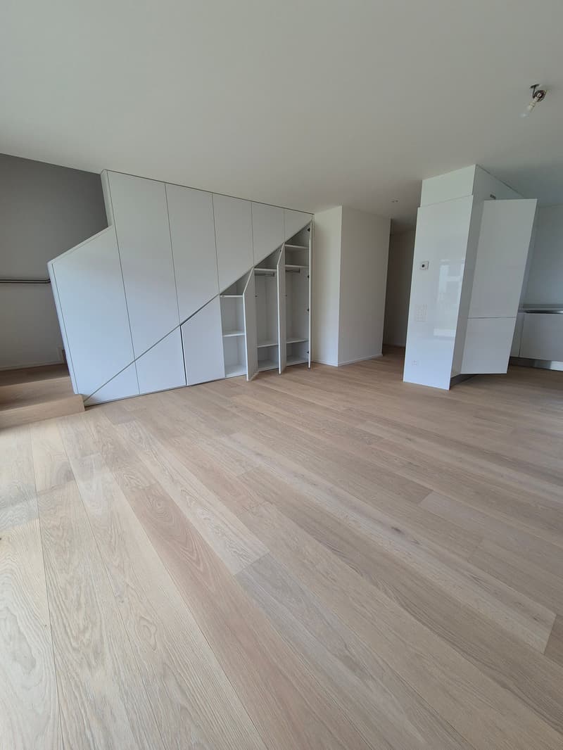 Maison moderne avec piscine à Caslano - disponible immédiatement (12)
