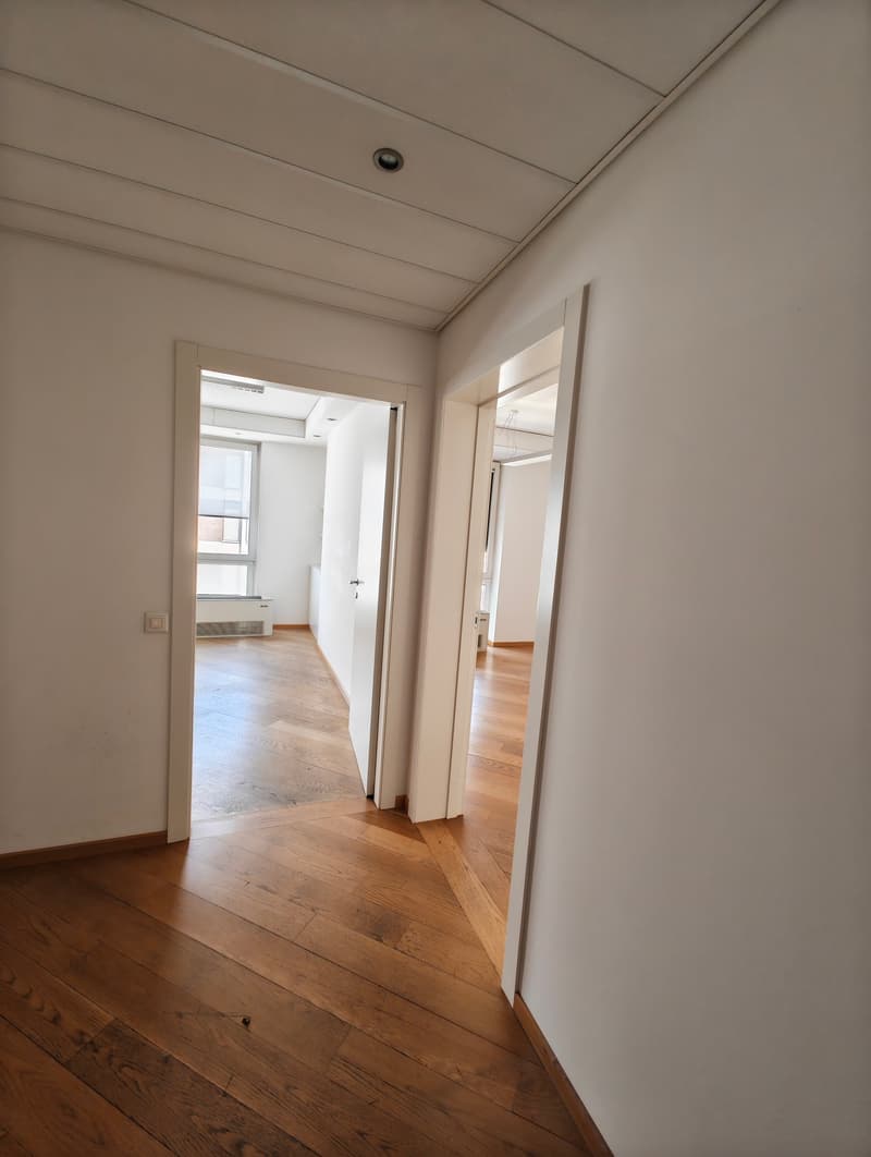 Wooden floors, white walls, open doors, window on left hallway, white ceiling with grid design