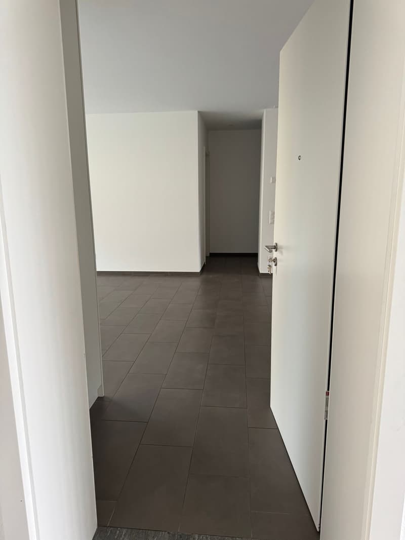 POLLEGIO - 4.5 Room Apartment (11)