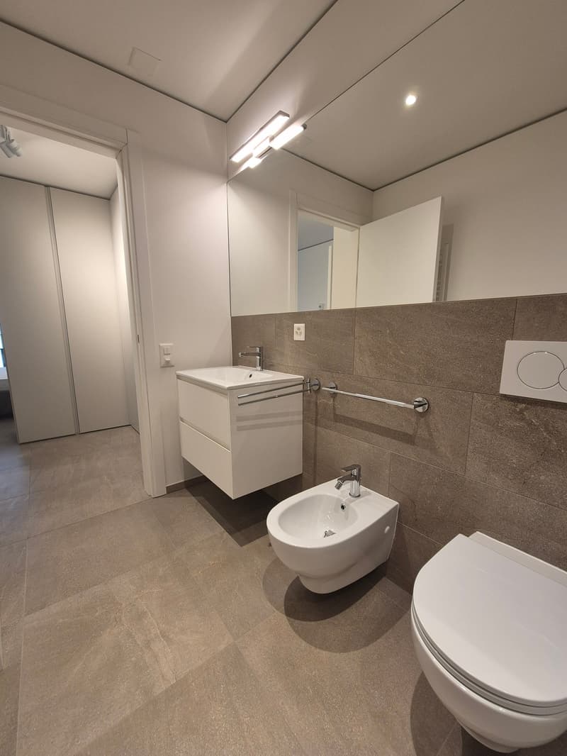 Modern 2.5-room apartment in Sorengo (10)