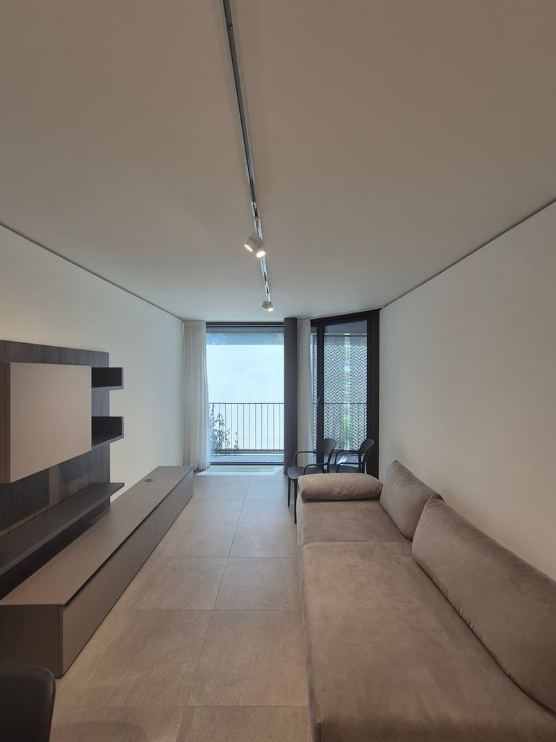 Modern 2.5-room apartment in Sorengo (2)