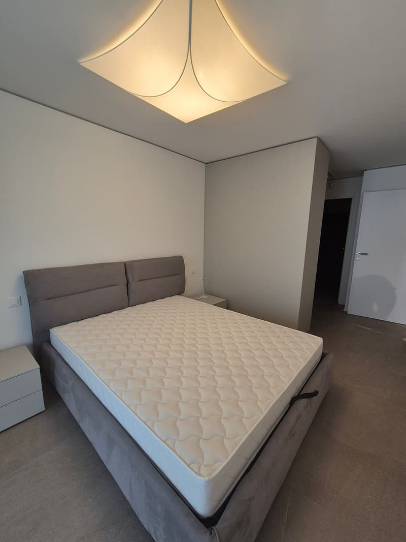 Modern 2.5-room apartment in Sorengo (9)