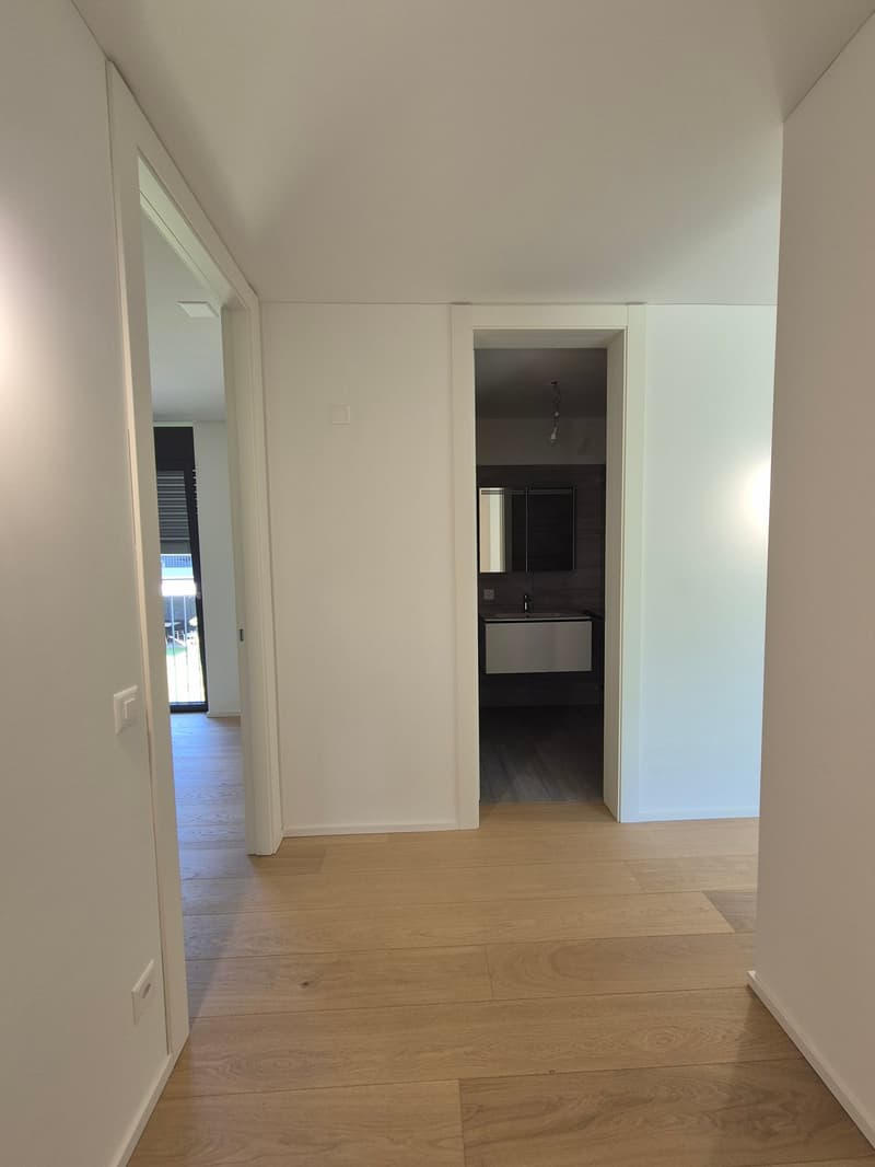 Moderne Villa mit Pool in Caslano - sofort verfügbar (15)