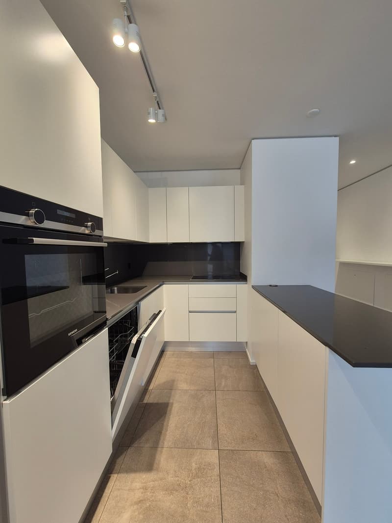 Appartement moderne 3.5 pièces à Sorengo (4)