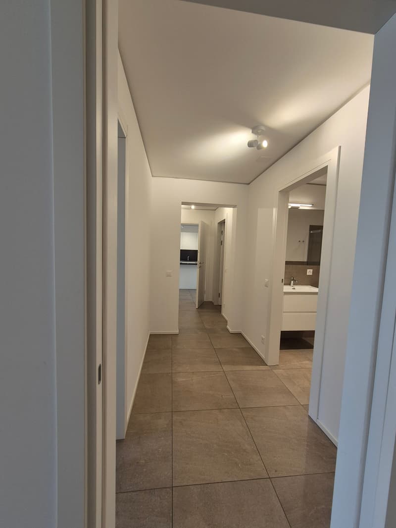 Appartement moderne 3.5 pièces à Sorengo (13)
