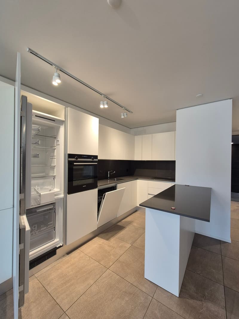 Appartement moderne 3.5 pièces à Sorengo (3)