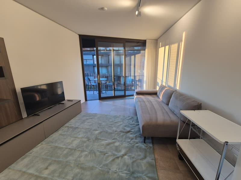 Moderno appartamento 2.5 locali a Sorengo (11)