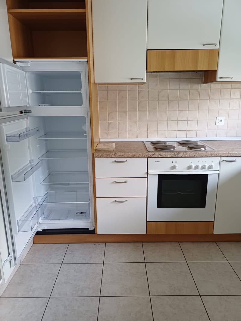 Appartamento 3.5 locali in zona tranquilla e centrale (6)