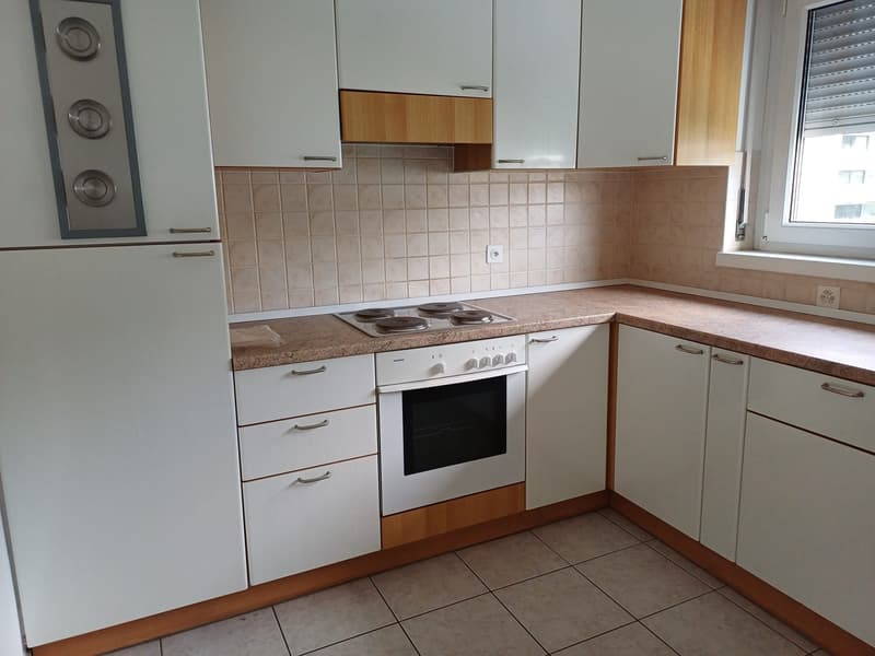 Appartamento 3.5 locali in zona tranquilla e centrale (5)