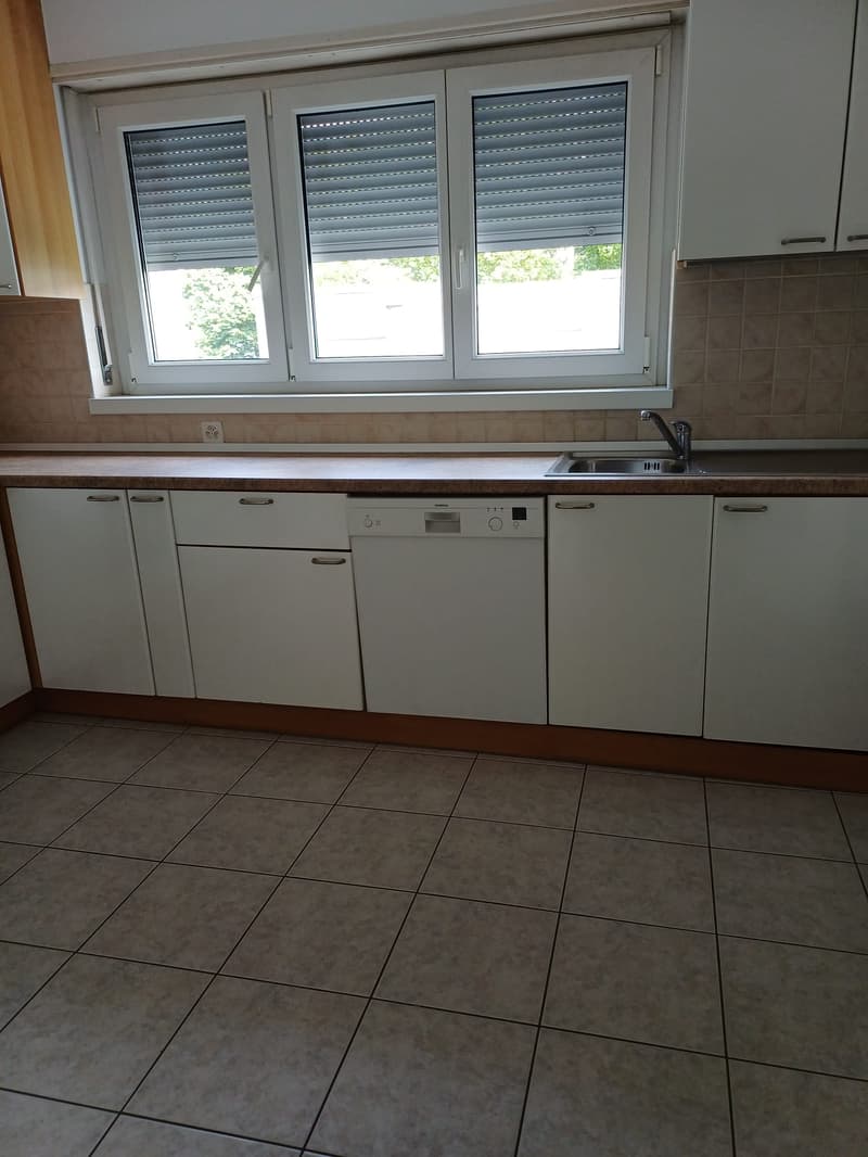 Appartamento 3.5 locali in zona tranquilla e centrale (7)