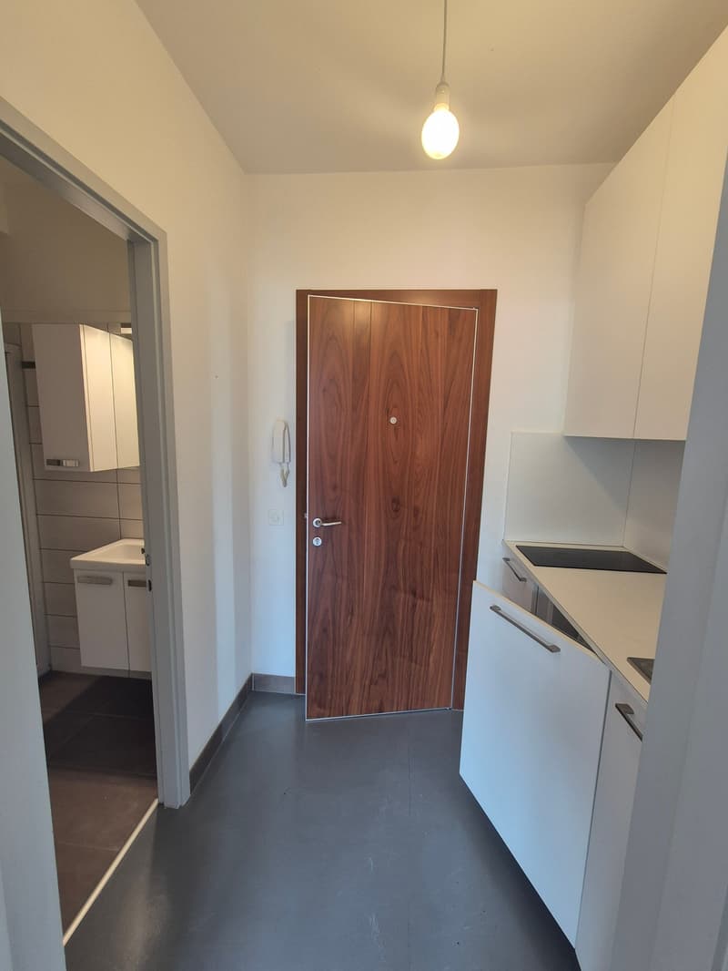 Appartamento monolocale (3)