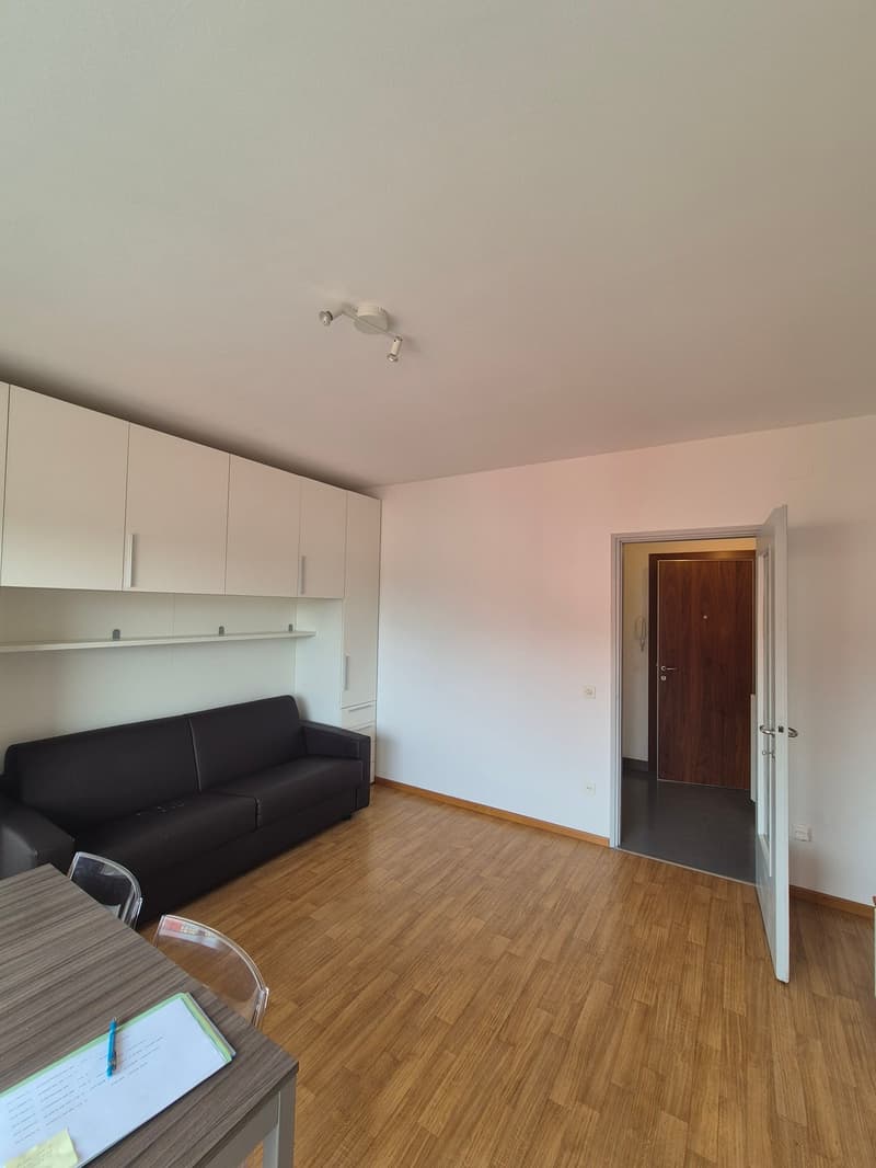 Appartamento monolocale (2)
