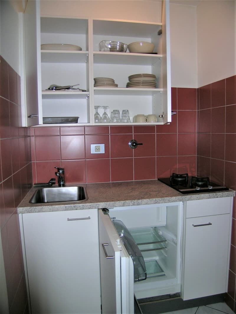 Furnished Apartments (3)
