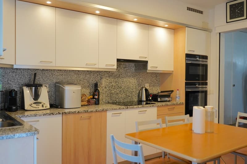 Appartement 4,5 pièces immergé dans le vert (5)