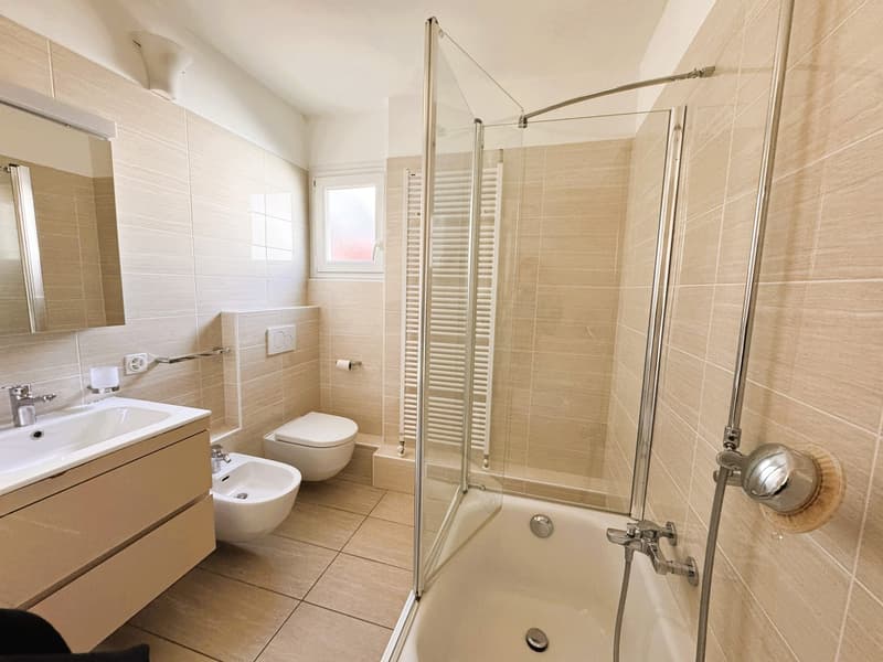Elegant 4.5 rooms apartment on the top floor with mountain view (4)