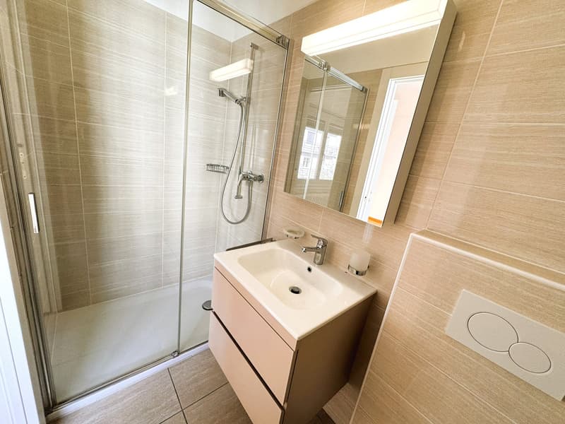 Elegant 4.5 rooms apartment on the top floor with mountain view (6)