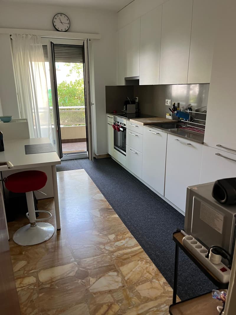 Massagno – Ampio 3.5 locali rinnovato con piscina condominiale (4)