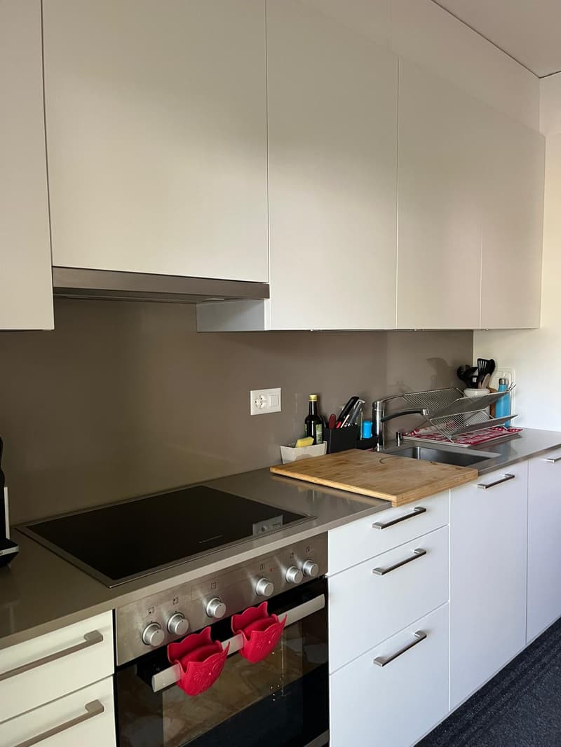 Massagno – Ampio 3.5 locali rinnovato con piscina condominiale (5)