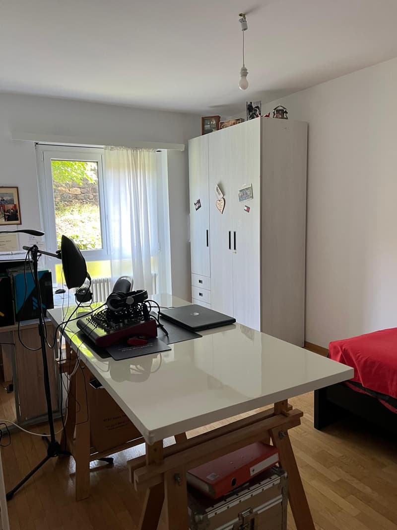 Massagno – Ampio 3.5 locali rinnovato con piscina condominiale (9)