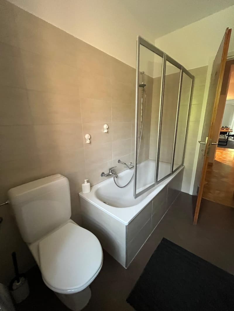 Massagno – Ampio 3.5 locali rinnovato con piscina condominiale (10)