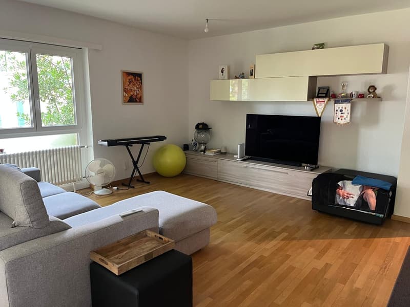 Massagno – Ampio 3.5 locali rinnovato con piscina condominiale (2)